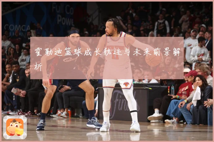 霍勒迪篮球成长轨迹与未来前景解析