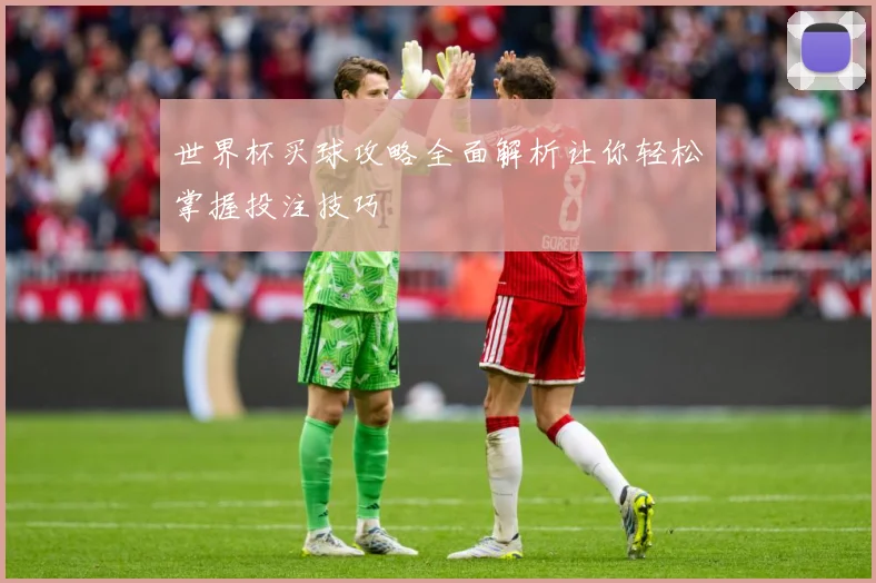 世界杯买球攻略全面解析让你轻松掌握投注技巧