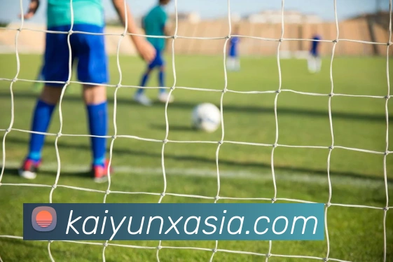 开云平台展示图